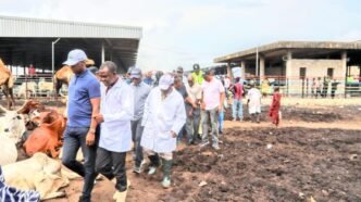 Oko Oba Abattoir in Lagos Shut Down Indefinitely, See Why