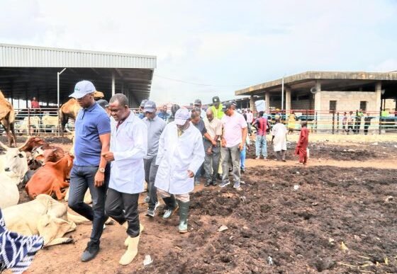Oko Oba Abattoir in Lagos Shut Down Indefinitely, See Why