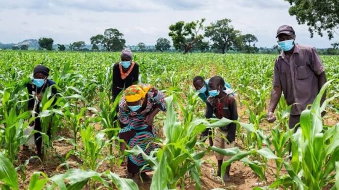 Lagos in Farmers Seek Greater Empowerment to Boost Food Production
