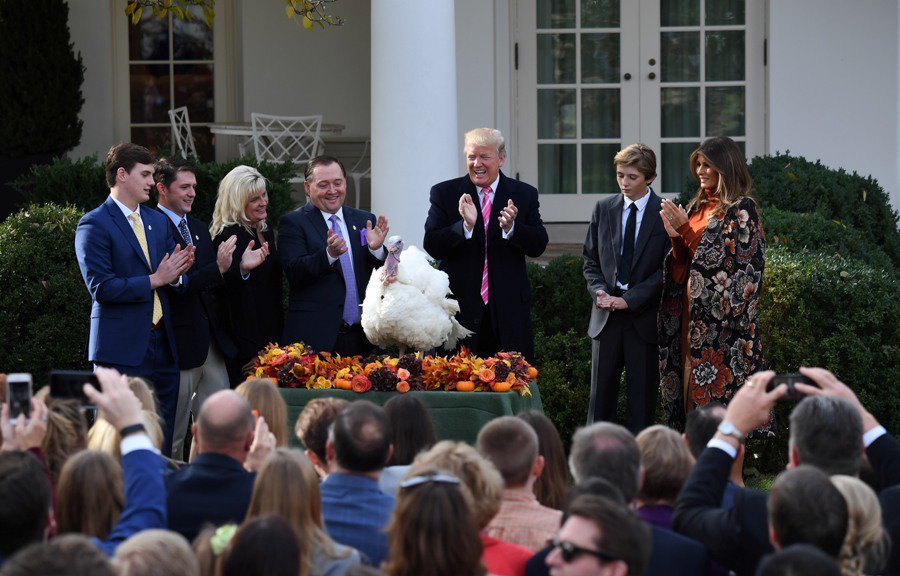 Trump Pardons Turkeys Gobble and Waddle
