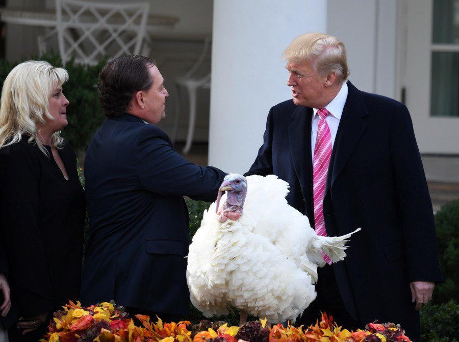 Trump Pardons Turkeys Gobble and Waddle