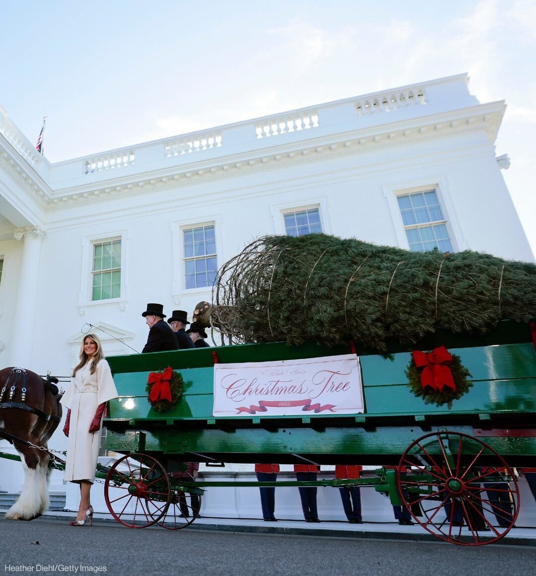 Melania Trump Welcomes White House Tree