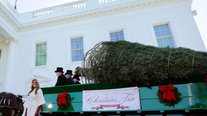 Melania Trump Welcomes White House Tree
