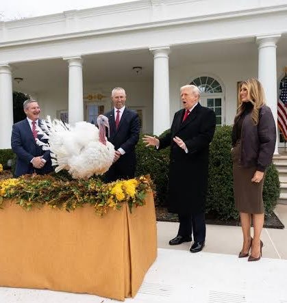 Trump Pardons Turkeys Gobble and Waddle