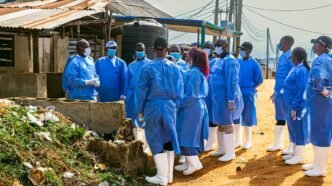 Lagos Intensifies Fight Against ASF