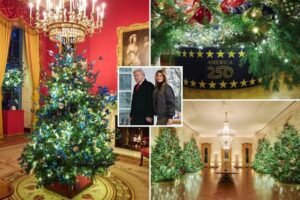 Melania Trump Steps Back Into Spotlight for Festive Season
