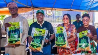 Lagos Launches Fortified Eko Rice