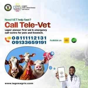Lagos Unveils Nigeria’s First Tele-Veterinary Call Centre
