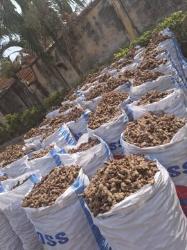 Nigeria Eyes $7.5bn Global Ginger Market