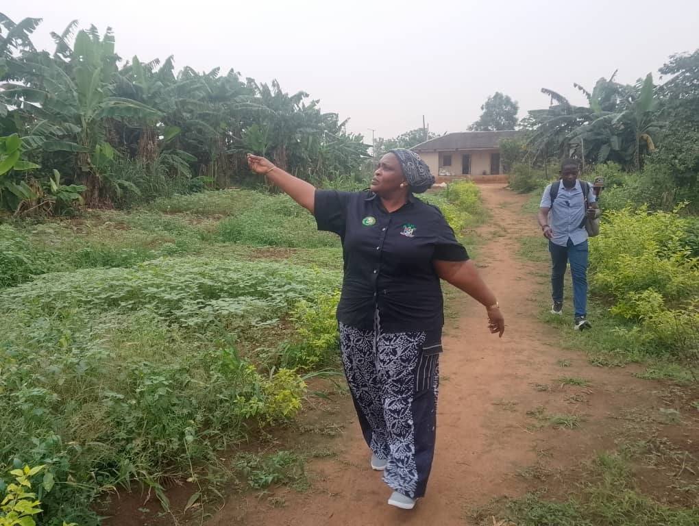 ALHA farmland revalidation