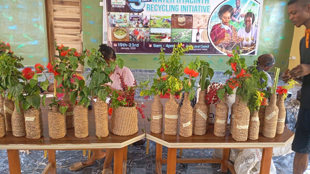 LASWA water hyacinth