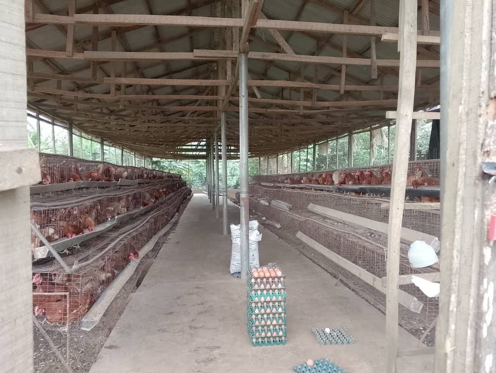 ALHA farmland revalidation