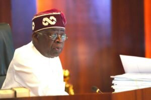 Tinubu Appoints New Boards for Oil Regulators