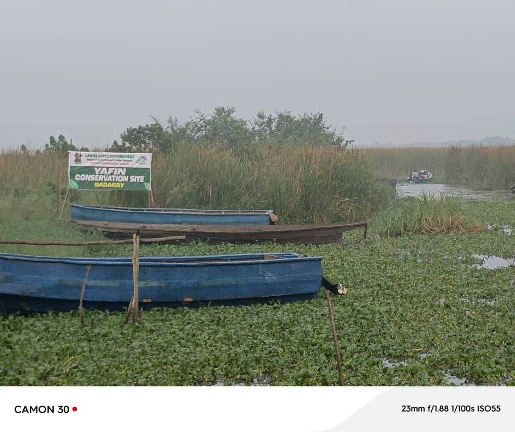 Lagos wetlands protection