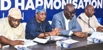 Lagos State Wealth Fund