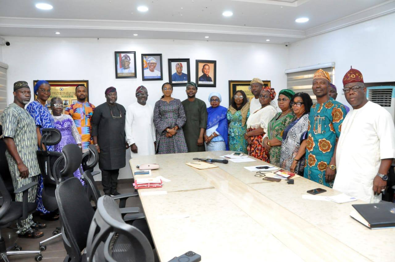 Lives Strategic Framework Lagos