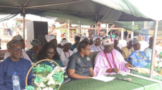 Lagos wetlands protection