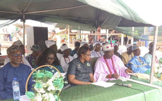 Lagos wetlands protection