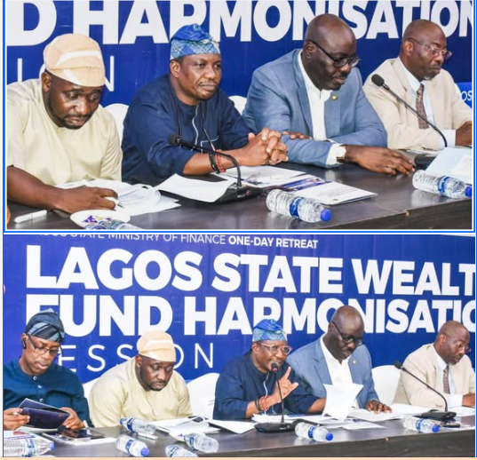 Lagos State Wealth Fund