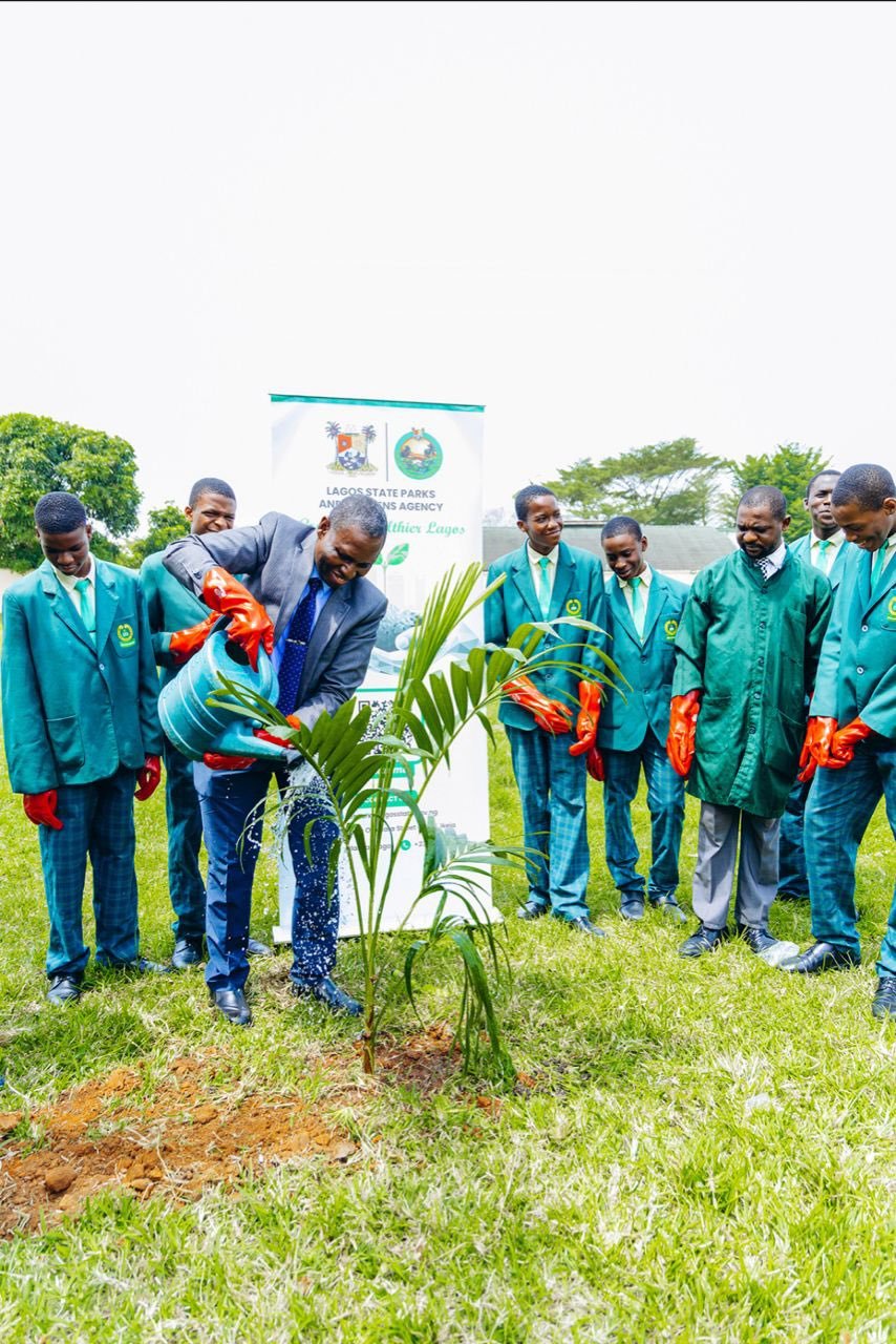LASPARK Plants 1,280 Trees to Boost Environmental Sustainability in Lagos