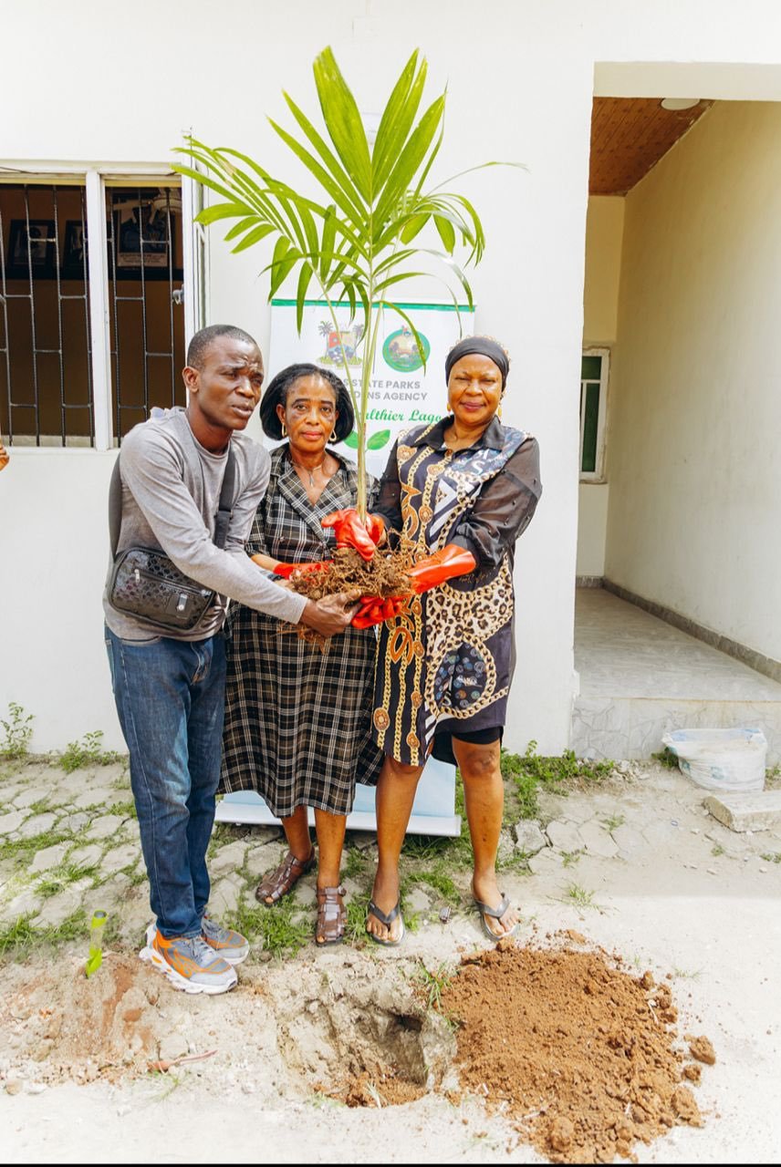 LASPARK Plants 1,280 Trees to Boost Environmental Sustainability in Lagos