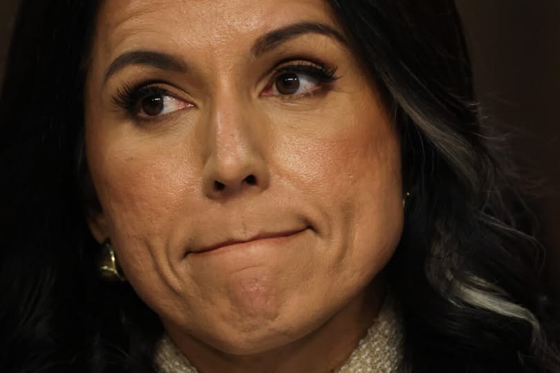 Tulsi Gabbard
