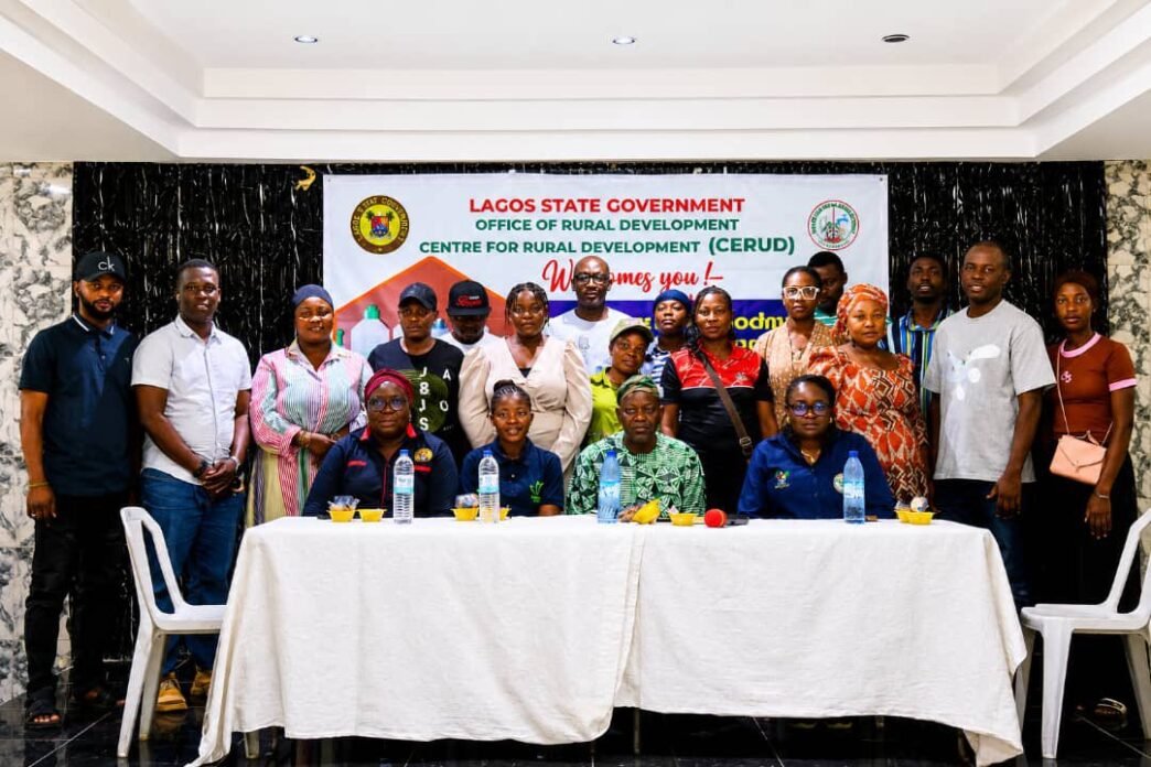 Lagos Trains Residents on Household Chemicals Production to Boost Entrepreneurship